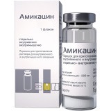 Купить амикацин, порошок для приготовления раствора для внутривенного и внутримышечного введения 1г, флакон в Балахне