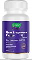 Купить цинк l-карнозин гастро, капсулы 60 шт бад в Балахне