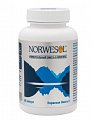 Купить норвесол омега 3, капсулы 500мг 60 шт. бад в Балахне
