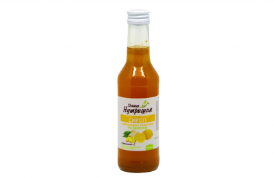 Купить сироп имбирный на фруктозе с лимоном доктор нутришин, флакон 250мл бад в Балахне