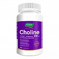 Купить холин 350мг, таблетки массой 1200мг 60 шт бад в Балахне