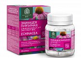 Купить эхинацея пурпурная с витаминами с и е экстракт вис, капсулы массой 350мг, 30 шт бад в Балахне