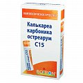 Купить калькареа карбоника остреарум с15, гомеопатический монокомпонентный препарат животного происхождения, гранулы гомеопатические 4 гр в Балахне