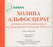 Купить холина альфосцерат, раствор для внутривенного и внутримышечного введения 250мг/мл, ампулы 4мл, 5 шт в Балахне