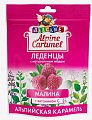 Купить alpine caramel (альпийская карамель) леденцы детские малина с медом и витамином с , 75г бад в Балахне