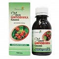 Купить шиповника масляный экстракт для приема внутрь, флакон, 100мл бад в Балахне