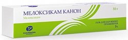 Купить мелоксикам-канон, гель для наружного применения, 1%, туба 50г в Балахне