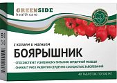 Купить green side (грин сайд) боярышник с калием и магнием, таблетки  40 шт. бад в Балахне