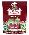 Купить alpine caramel (альпийская карамель) леденцы детские вишня с медом и витамином с , 75г бад в Балахне