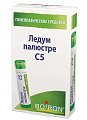 Купить ледум палюстре с5, гомеопатический монокомпонентный препарат растительного происхождения, гранулы гомеопатические 4г в Балахне