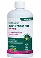 Купить snow sea хлорофилл форте жидкий со вкусом малины и мяты, 450 мл бад в Балахне