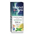 Купить lysi (лиси) рыбий жир со вкусом лимона и мяты, флакон 240мл бад в Балахне